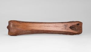 Photo of a single brown animal bone with a hole drilled in on one end and the skating surface filed so it is smooth and flat.
