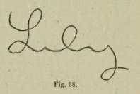 A yellowed image with the name “Lily” written.